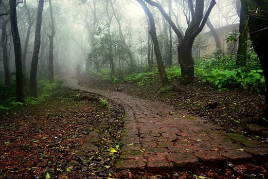 Pathways in the forest of Matheran. Pic: Flickr 30stades
