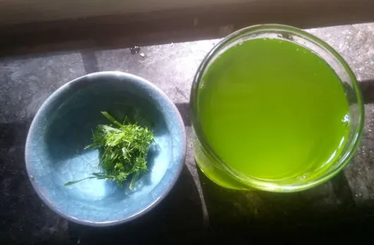 Bermuda (durva) grass juice helps detoxify body, boosts immunity and regulates blood sugar. Pic: Facebook/@ForgottenGreens 30stades