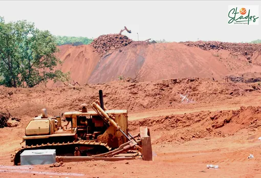 COVID-19: Migrant workers turning mining hub West Singbhum into a fruit bowl, 30 stades, Jharkhand, ecology