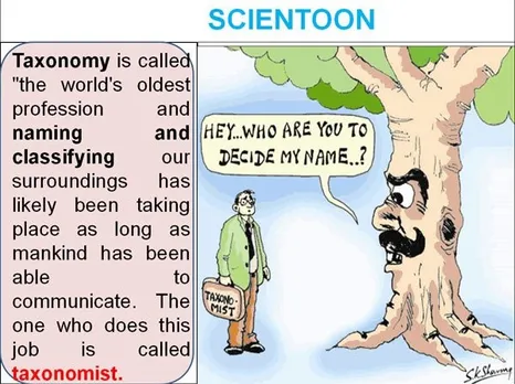 A scientoon on taxonomy. Pic: courtesy Dr Pradeep Srivastava