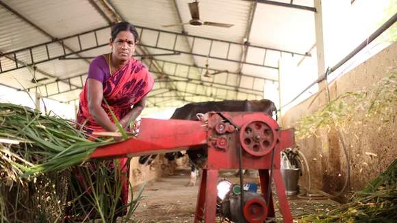 Women have contributed significantly to India’s White Revolution. Pic: Shreeja MMPCL 30stades