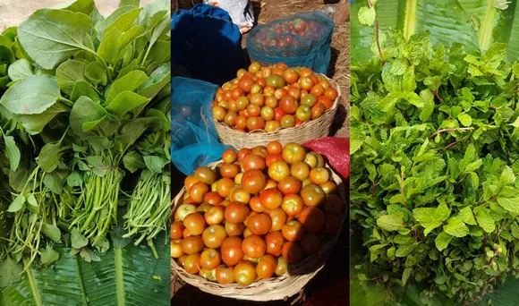 Amravathi Organics procures and sells only organic agri produce from its 615 member farmers. Pic: Amravathi Organics 30 stades