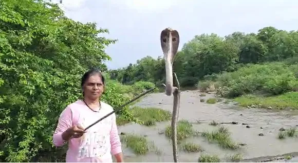 Vanita Borade during a snake rescue operation. Pic: Courtesy D Bhaskar 30stades