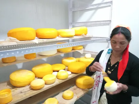 Cheesemaking has financially empowered women. They are also able to run independently run operations at the unit where tonnes of cheese is in the cold storage for ageing. Pic: Old Hill Foods