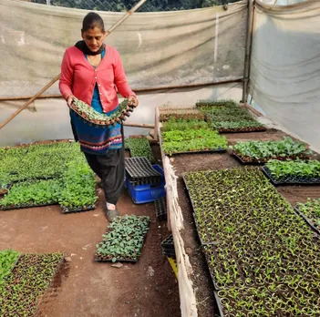 Guddi Pawar working at the nursery. Pic: Courtesy Dev Bhoomi Nursery 30 stades