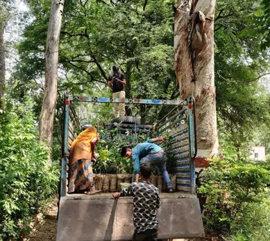 Pukaar has created 8 urban forests in and around Udaipur using the Miyawaki technique. Pic: Pukaar Foundation 30 stades