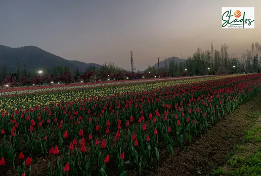 Indira Gandhi Memorial Tulip Garden in the evening. Pic: Parsa Mahjoob 30stades