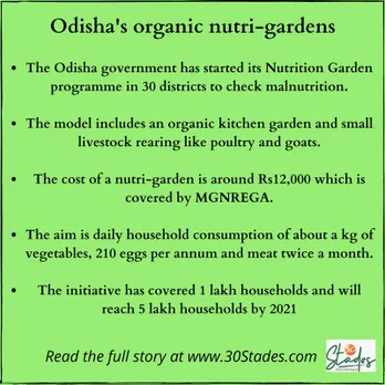 Odisha women fight malnutrition through organic nutrition gardens MGNREGA malnutrition programme of Odisha Government
