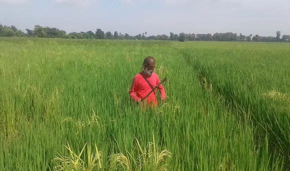 Farmers like Sanyasi Red find it easy to practice organic farming as they can use fish pond water for irrigation and don't need to use chemicals. Pic: Mohd Imran Khan  30stades