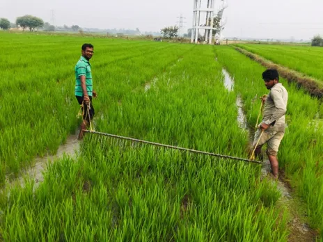 Reddy (left) cultivates rice using the direct sowing method. Pic: M M Reddy 30stades