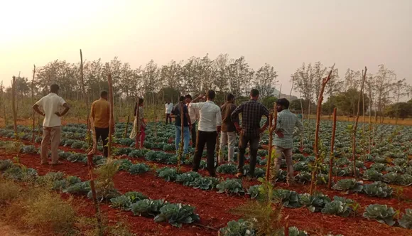 The daily output of around 1,000 kg at Nisarga Native Farm is not enough to meet customer demands. Pic: Courtesy Roja Reddy 30stades