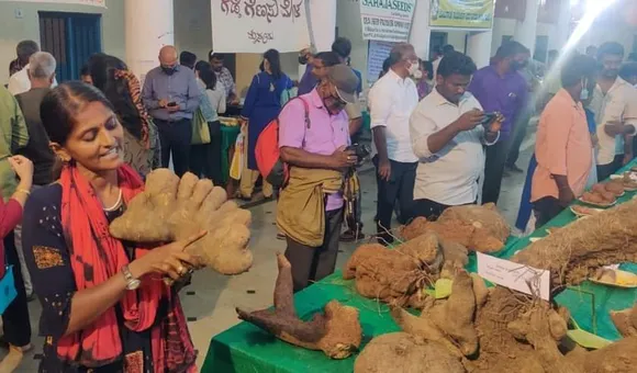 Priya has over 50 varieties of tubers in her seed collection. Pic: Courtesy V Priya Rajnarayanan 30stades