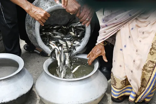 ICAI-CIFRI is now trying to provide better market linkages to improve incomes of fish farmers. Pic: Partho Burman 30stades