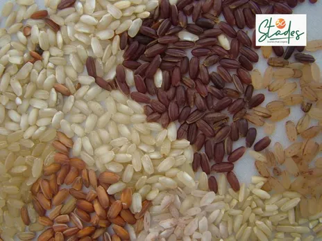 Due to Sahaja's efforts, 2500 rice farmers are conserving 350 varieties of scented, medicinal, flood-tolerant, saline-tolerant and dry-land rice varieties.  30stades