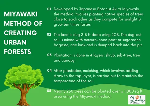 Thuvakkam urban forest miyawaki method india infographic