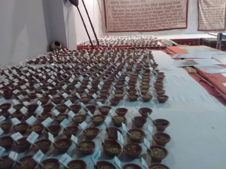 Some of Vrihi's native rice seeds on display at an exhibition. Pic: Debal Deb 30stades