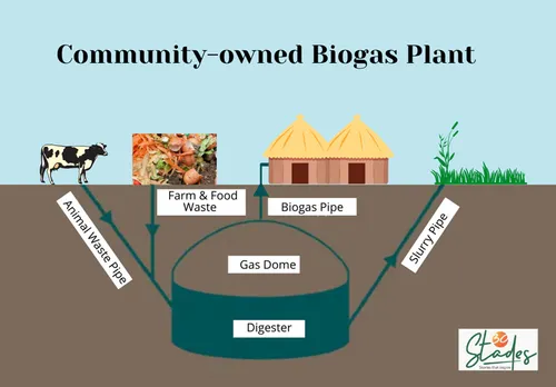 Model of a community-owned biogas plant. biogas basics information model of working By 30Stades