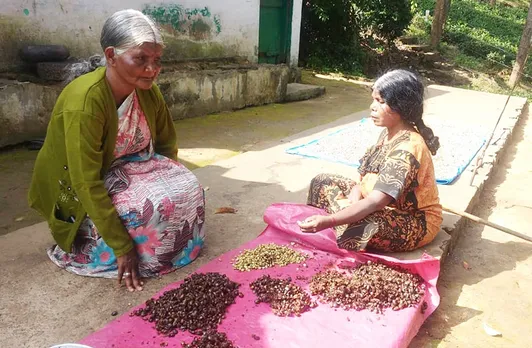 Janaki Amma (left) examining the quality of produce before collection. Pic: AAPCL 30STADES