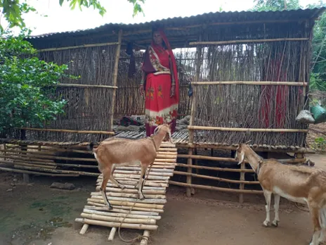 In shortage of vets, pashu sakhis support cattle & poultry farmers in Jharkhand’s badlands, WORLD BANK, PROJECT JOHAR, FAO, ASIAN BEST PRACTICES, LIVELIHOOD IN MAOIST LAND, 30 STADES