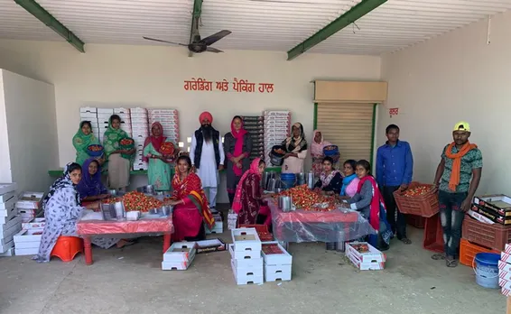 Jaskaran and his wife with farm workers at the packaging unit. Pic: Jaskaran Singh 30stades