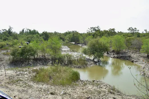 Narrow creeks in Sundarbans lure fishermen but also make them easy prey for tigers. Pic: Partho Burman 30stades