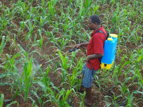 Rajan, Valli's husband, spraying biopesticide at their farm in Martalli. Pic: Anisha 30stades