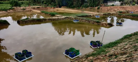 Anand creates islands on lakes with the dug out earth to promote flora and fauna around water bodies. Pic: Anand Malligavad 30stades