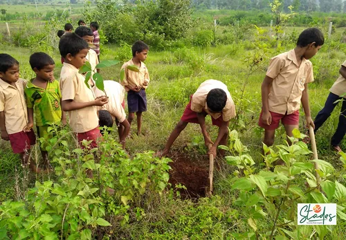 Now 130 children, including 30 orphans, are involved in the plantation drive. The orphan kids are looked after by the Sido Kanhu Mission. Pic: Partho Burman 30 stades
