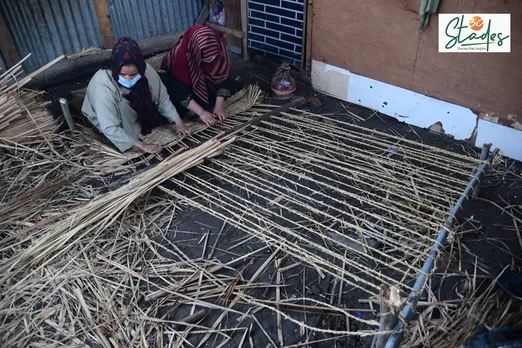 Vertical frame is created using pech reed ropes and paddy straws are interwoven horizontally. Pic: Wasim Nabi