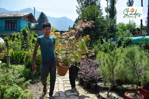 Area under floriculture in Srinagar has increased over 4 times since 1996. Pic: Ubaaid Mukhtar 30stades