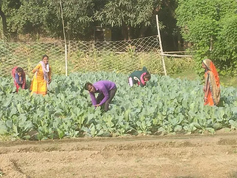 Mamta Kumari (in yellow) could start cultivation on her small landholding with help from Nav Chetna. Pic: Nav Chetna Agro 30stades