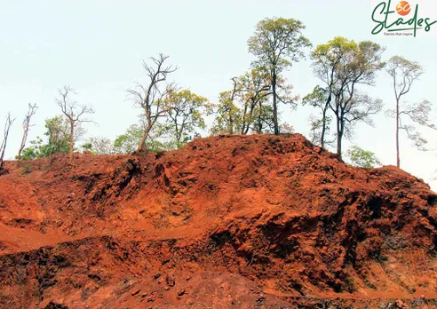 COVID-19: Migrant workers turning mining hub West Singbhum into a fruit bowl, 30 stades, Jharkhand, ecology