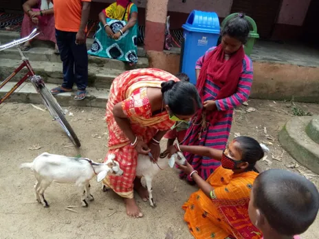 In shortage of vets, pashu sakhis support cattle & poultry farmers in Jharkhand’s badlands, WORLD BANK, PROJECT JOHAR, FAO, ASIAN BEST PRACTICES, LIVELIHOOD IN MAOIST LAND, 30 STADES