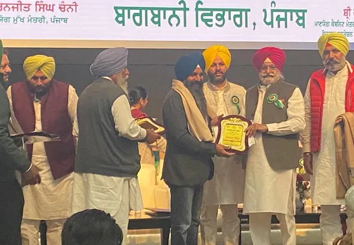 Farmer Jaskaran Singh receiving an award for being a progressive strawberry farmer. Pic: Jaskaran Singh 30stades
