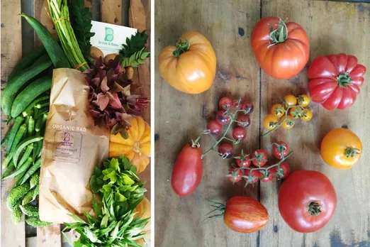 With increasing awareness about health benefits of organic food, customers are willing to pay a premium for Brook N Bees' produce. Pic: Brook N Bees 30stades