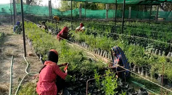 Workers at the Marcelone Agrofarm. Pic: Marcelone Agrofarm 30stades