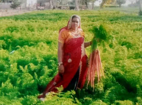 Santosh Pachar sells seeds of carrot variety , developed by her, for Rs 1000 per kg. Pic: Courtesy Santosh Pachar 30stades