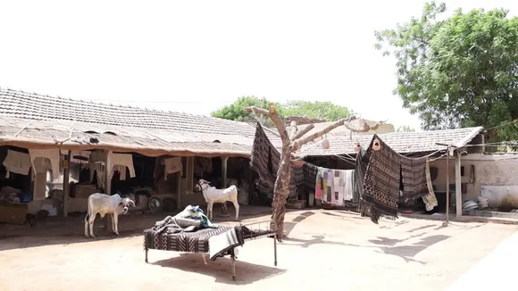 A weaver's household in Bhujodi with ready dhablas soaking the sunlight.  Pic: Shamji Valji  30 stades