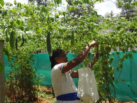 A farmer at Anisha's native seed bank in Martalli. Pic: Anisha 30stades