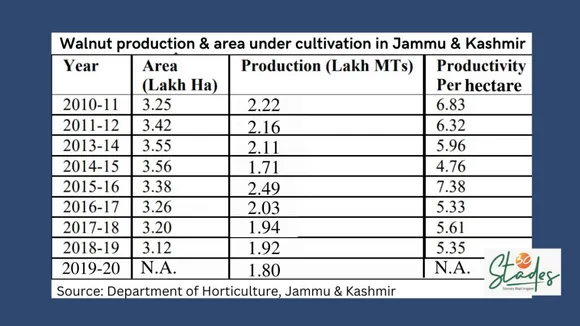 Walnut production, productivity and area under cultivation in Jammu and Kashmir. Pic: 30Stades 