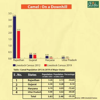 Camel Chart