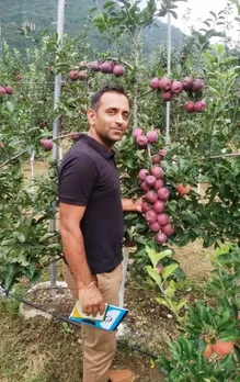 In 2019, Mandeep forayed into apple farming. The plants currently yield 350kg apples annually. Pic: Swaastik Farms 30stades
