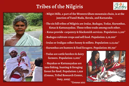 Tribes tribal people of Nilgiri hills Nilgiri Biosphere Reserve population customs 30stades Irula, kurumba, kota, toda, badaga, kattunayakas
