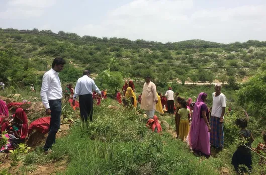 More than 4 lakh trees have been planted in Piplantari under the guidance of Padma Shri  Shyam Sundar Paliwal. Pic: Facebook/piplantrimodel 30 stades