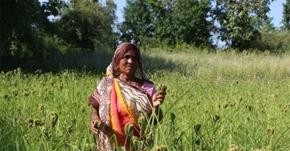ANANDI facilitates 800 women a year in acquiring land rights. Pic: ANANDI 30STADES