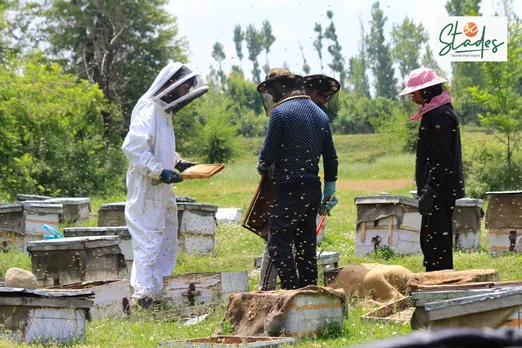 Apiculture or beekeeping has developed into a lucrative business in Kashmir in the last decade. Pic: Sajad Hameed
