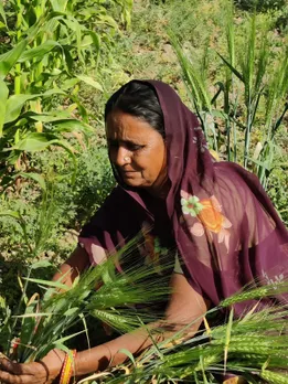 Vaagdhara works in the tribal-dominated districts in Rajasthan, Gujarat and Madhya Pradesh. Pic: Vaagdhara 30STADES