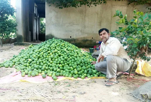 Rajnish gets about 20% higher than market rates for his organic fruits. Pic: Hardev Bag Nursery & Udyan