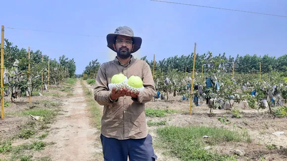 Rajeev Bhaskar at his farm. In the background, plants can be seen with bagging. Pic: courtesy Rajeev Bhaskar 30stades