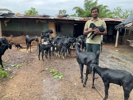 Reddy sells a goat kid for Rs 1.8 lakh. Pic: M M Reddy 30stades